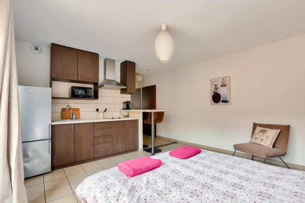 Cosy Studio In * Strasbourg